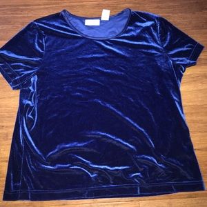 Blue Velvet Short Sleeve Blouse